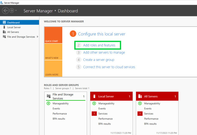 Select “Add roles and features”