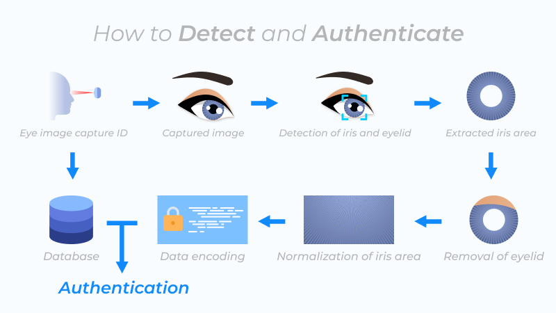 How Does an Iris Recognition Access Control Work?