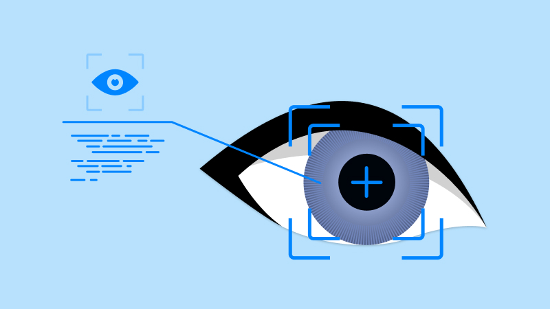 Iris Recognition